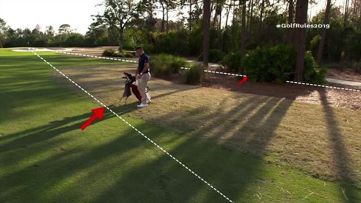 Special Or Required Relief Procedures