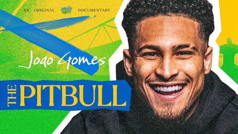 Joao Gomes: The Pitbull | Wolves Studios Documentary