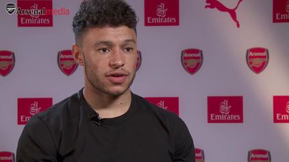 Ox on festive schedule