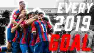 Every Goal of 2019 | Crystal Palace