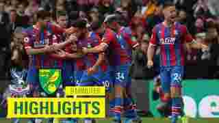 Crystal Palace 2-0 Norwich City | 9 Minute Highlights
