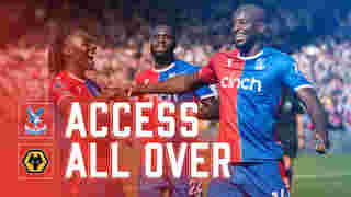 ACCESS ALL OVER | WOLVES (H)