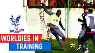 Training | Highlights