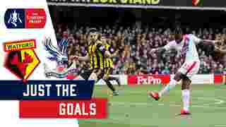 Watford 2-1 Crystal Palace | Just the Goals