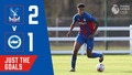Crystal Palace 2-1 Brighton | U18s Just the Goals