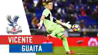 Vicente Guaita | Vital Stats