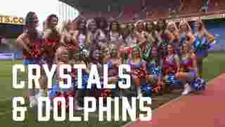 The Crystals & the Miami Dolphins