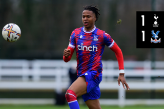 Match Action: Crystal Palace 1-2 Tottenham Hotspur 