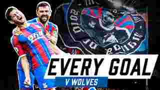 Every Premier League Goal v Wolves