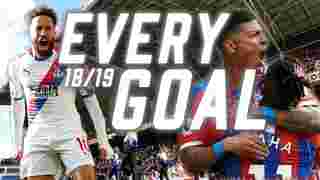 61 Goals in 60 Seconds  | Every Goal 2018/19 Season
