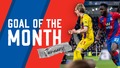 Goal of the month nominations: January 2022