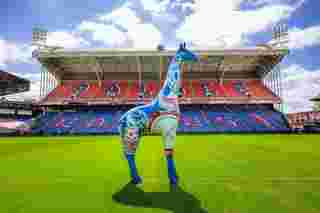 CPFC Squad Sign Croydon Giraffe