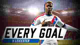 Every Premier League Goal v Leicester City!