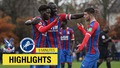 Crystal Palace 4-2 Millwall | 9 Minutes Highlights