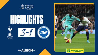 Brighton & Hove Albion
