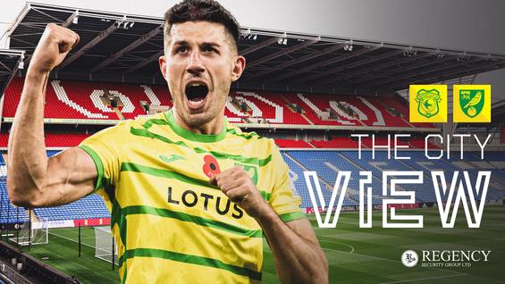 the-city-view-cardiff-city-vs-norwich-city-saturday-november-11