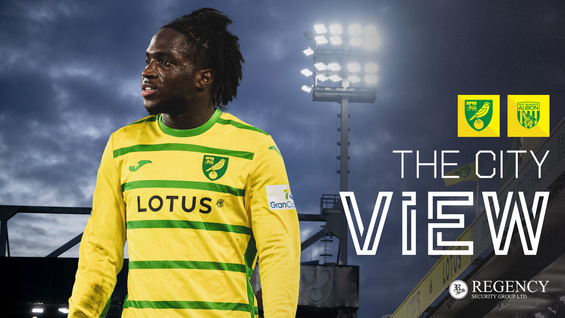 the-city-view-norwich-city-v-west-bromwich-albion-saturday-january-20