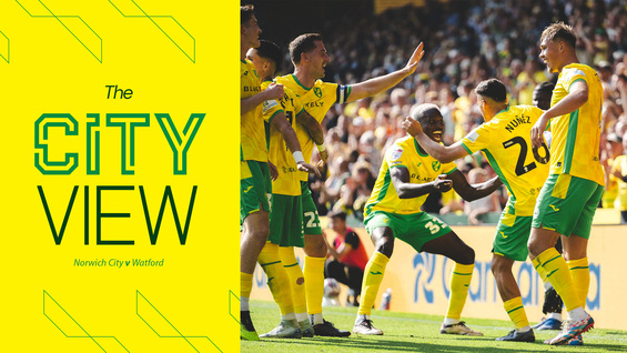 the-city-view-norwich-city-v-watford-saturday-september-21